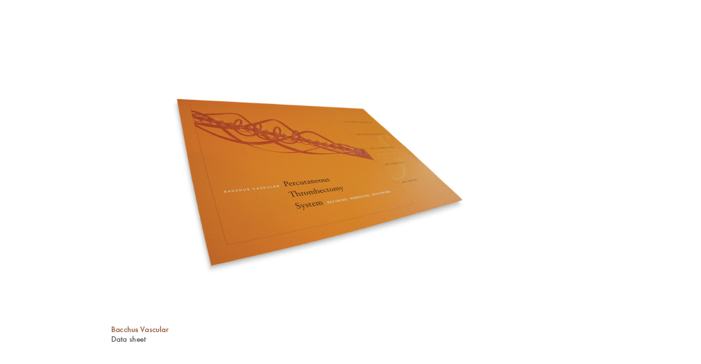 Bacchus Vascular 2